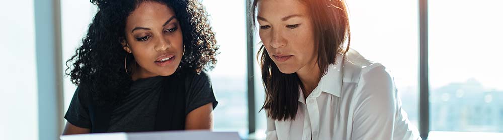 Consultants reviewing document