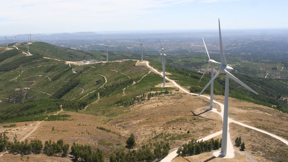 Monitoring and controlling renewables in real time