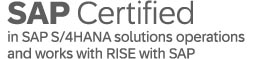 sap certified rise badge sap certified rise badge