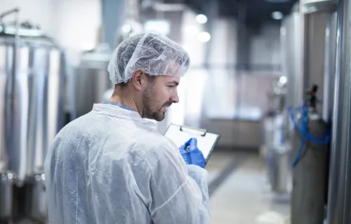 Male worker with a hairnet in a dairy processing plant 