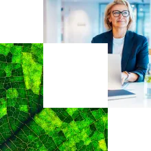 Professional in front of laptop