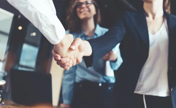 colleagues shaking hands