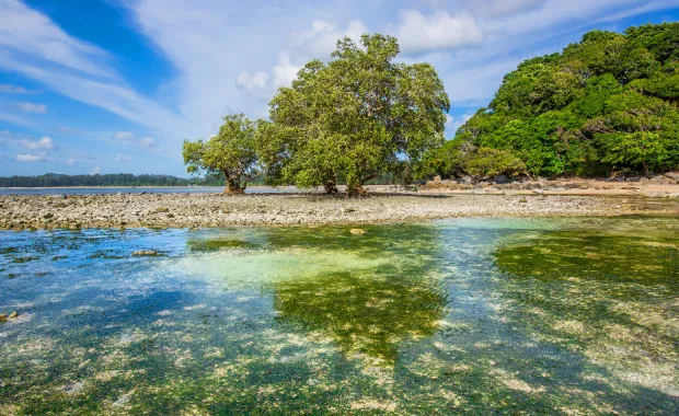 a green lake under a blue sky