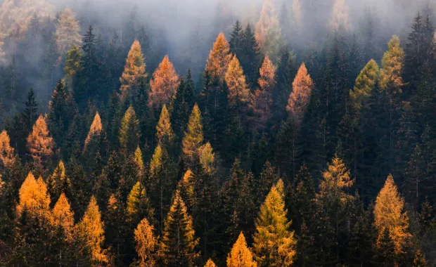 The business benefits to joining the Race to Zero