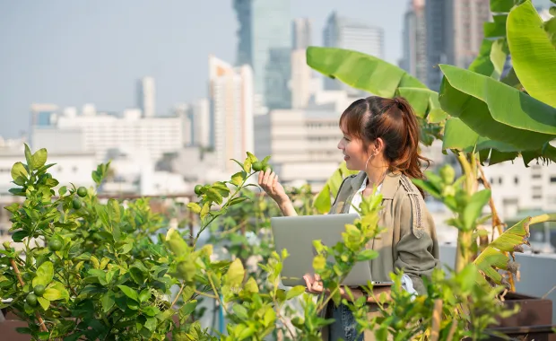 Woman looking at the plants