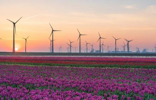 DERMS energy and utilities mobile