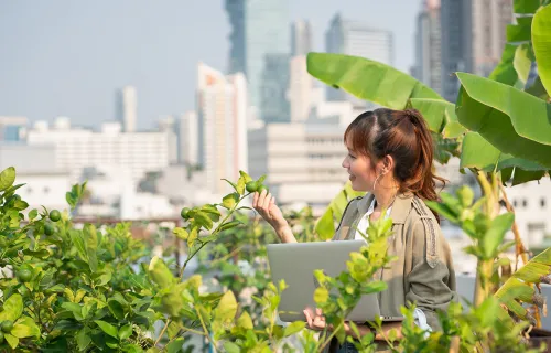 Woman looking at the plants