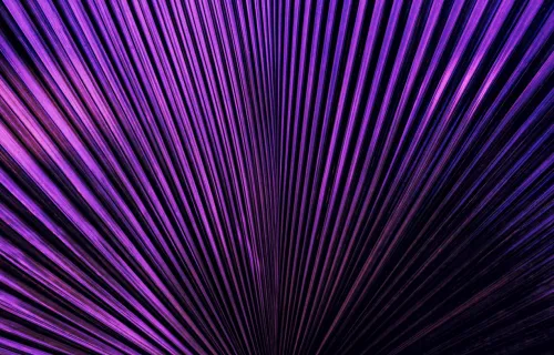 résumé des lignes violettes