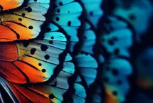 People AI Viewpoint Paper